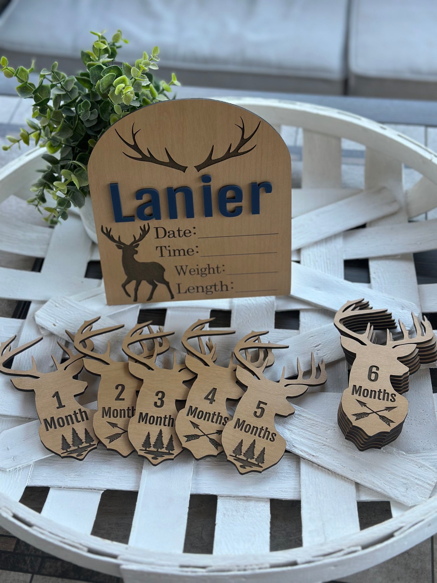 Newborn Birth Announcement or Monthly Photo Prop