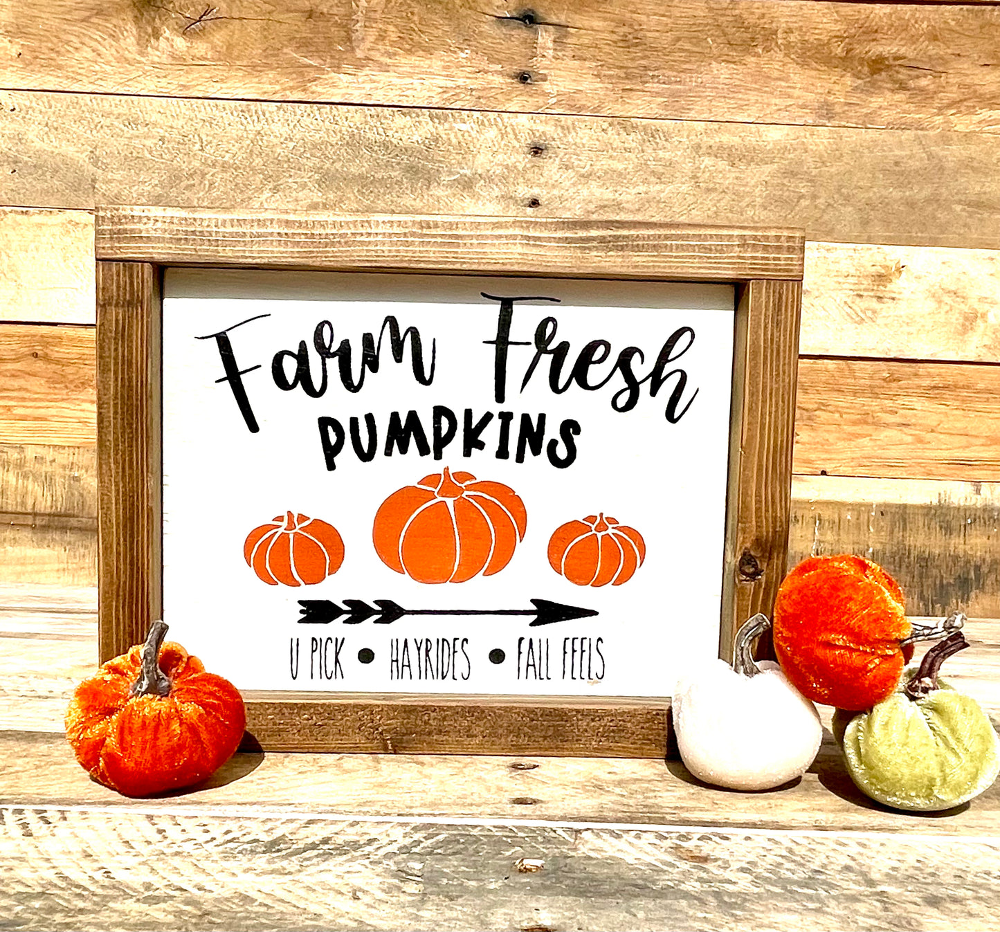 Farm fresh pumpkins